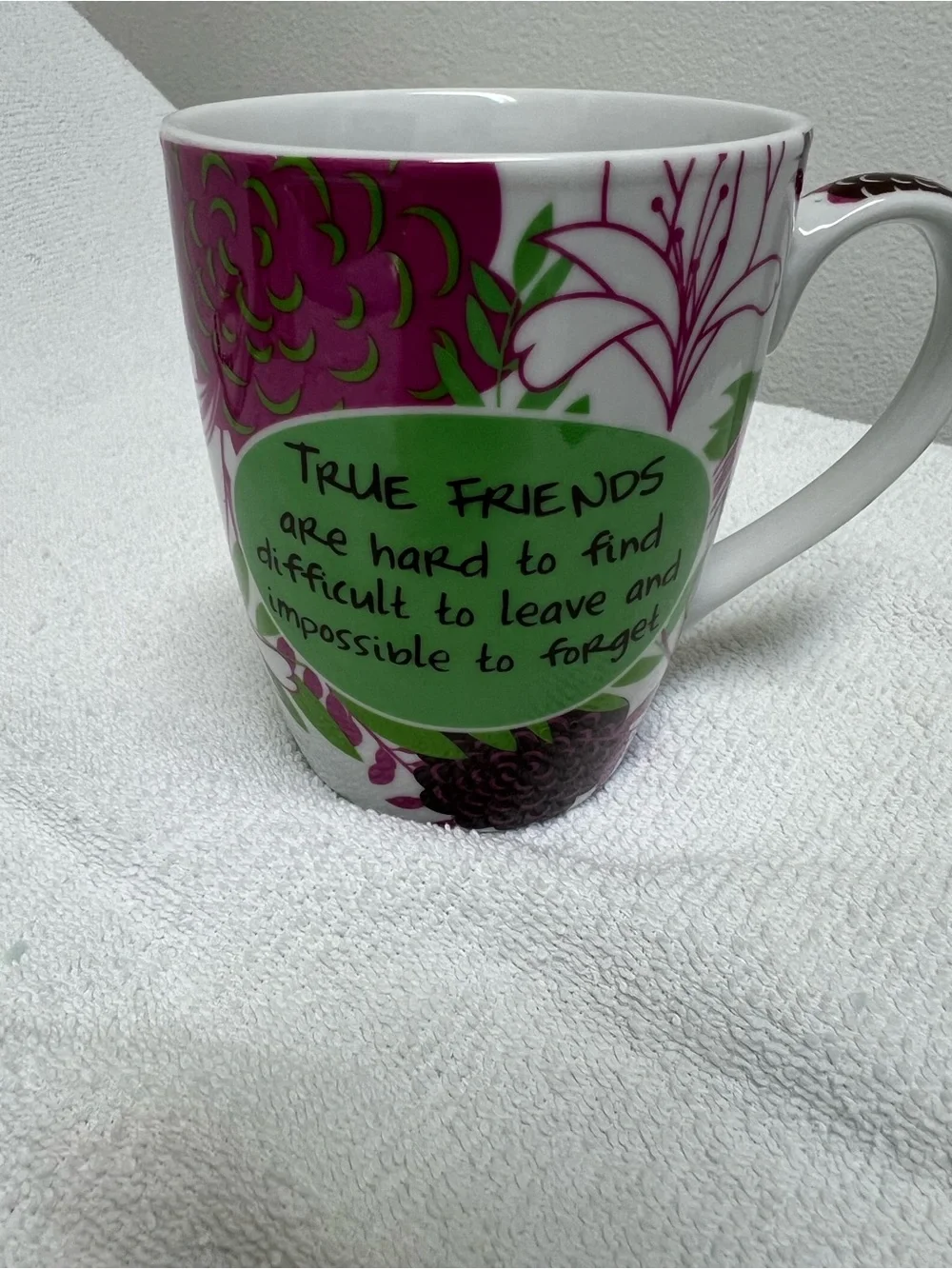 Pier 1 Imports True Friends Coffee Mug
